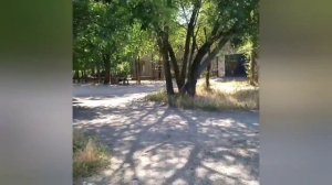 ставропольский край, Нефтекумский район, посёлок Затеречный.