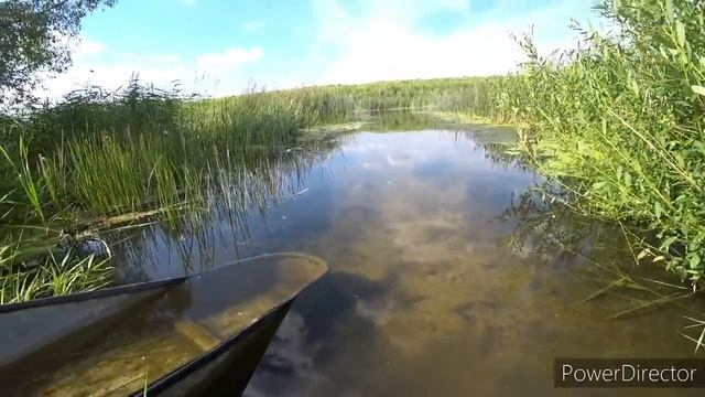 НА РЕЧКУ. Тест камеры.