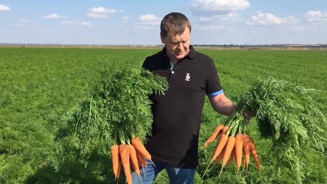 Кордоба и Кордоба B-Mox