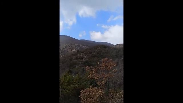 Походы круглый год смотреть онлайн