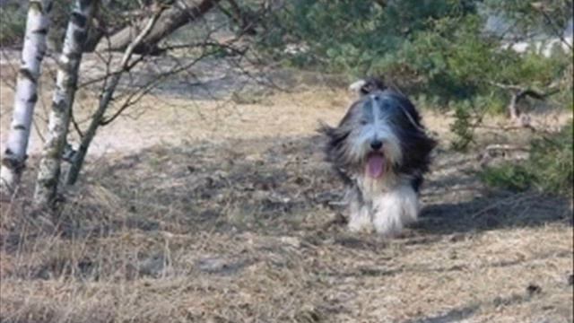 r.i.p.Mika смотреть онлайн