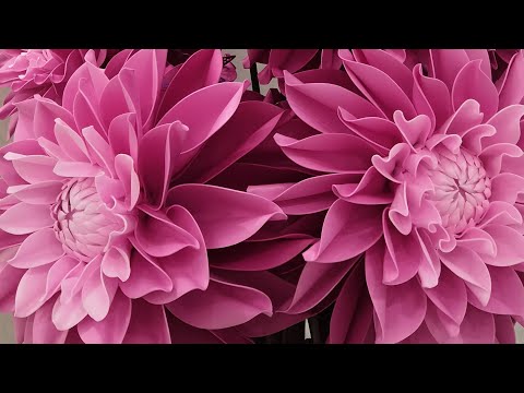 Один день моей жизни. смотреть онлайн