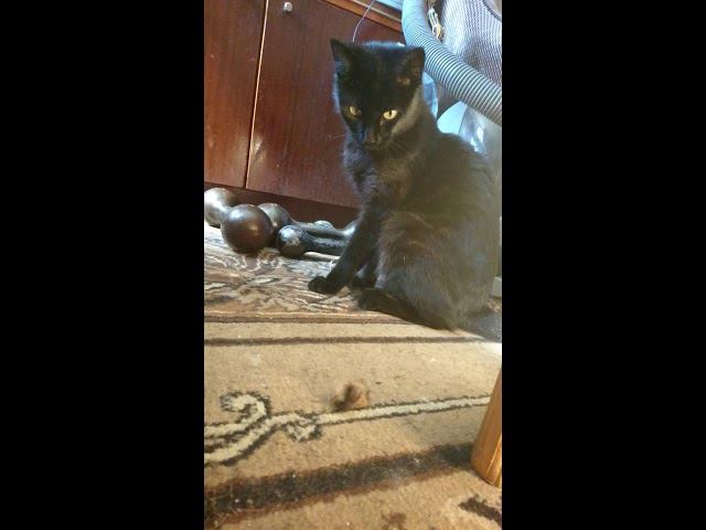 22 июля 2018 г. смотреть онлайн