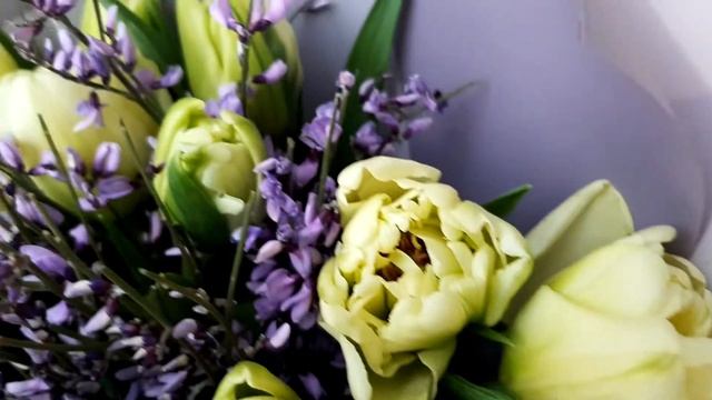 Букет из пионовидных тюльпанов и генисты смотреть онлайн