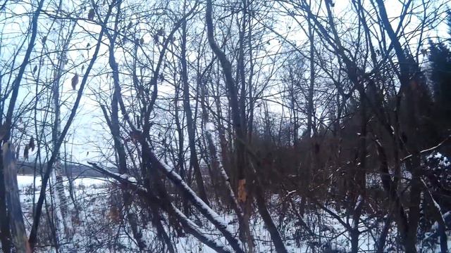 Охота на зайца 3. Заяц плавец! смотреть онлайн