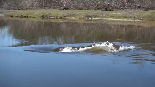 Рыбалка Бразилия 2015 смотреть онлайн