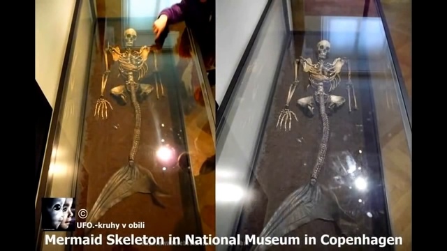 Возможно морской девственницей скелет, найденный в Польше ДОПОЛНЕННОГО ВИДЕО смотреть онлайн