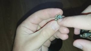 Не вращаются ножи на блендере Philips. В чем причина? Как разобрать редуктор блендера?