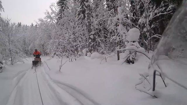 Предновогодняя прогулка до Карельского болота на мотособаках. смотреть онлайн