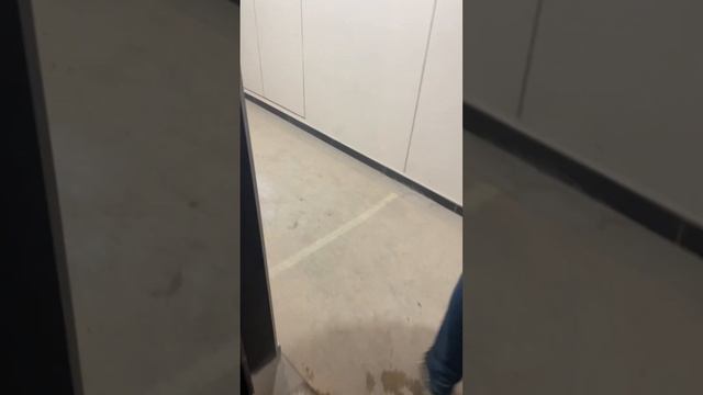 Level Селигерская большой объём отделочных работ смотреть онлайн