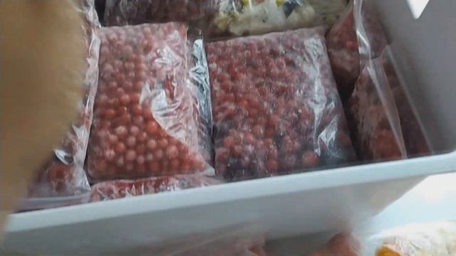 БОЛЬШАЯ Заморозка Овощей Фруктов и Ягод на зиму! Что заморозила на зиму какие овощные полуфабрикаты смотреть онлайн