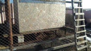 Автономный курятник на даче