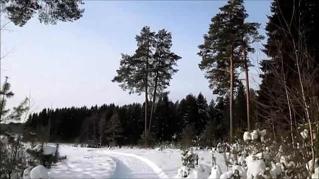 зимний лес.............прогулка смотреть онлайн