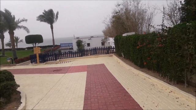 ЕГИПЕТ ШАРМ ЭЛЬ ШЕЙХ, Grand Oasis 4* / ДОРОГА К ПЛЯЖУ / ОБЗОР ТЕРРИТОРИИ смотреть онлайн