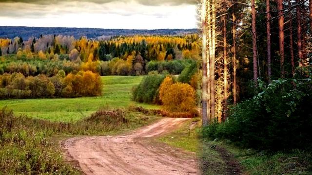 Путеводитель по Ленинградской области