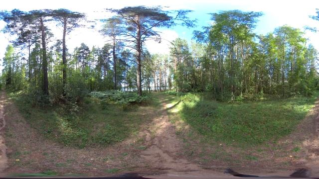 Крестецкий район Новгородской области (VR) смотреть онлайн