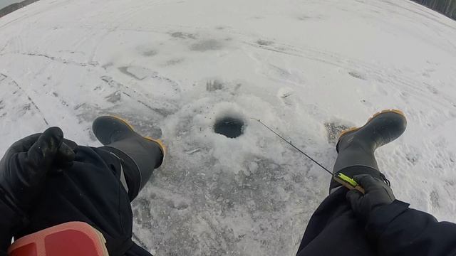 Зимняя рыбалка 23.11.19. Ловля плотвы в Верховьях Белоярского водохранилища. смотреть онлайн