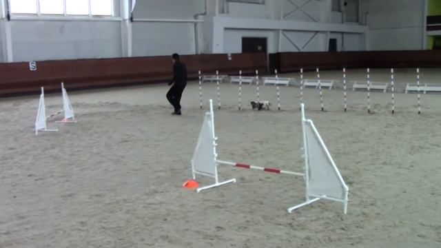 Кубок всех пород 28-02-2015. Умберто А3 - чистый забег смотреть онлайн
