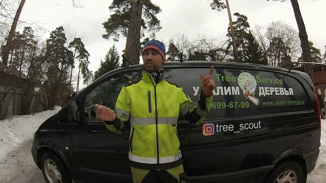 Сколько стоит спилить дерево? смотреть онлайн
