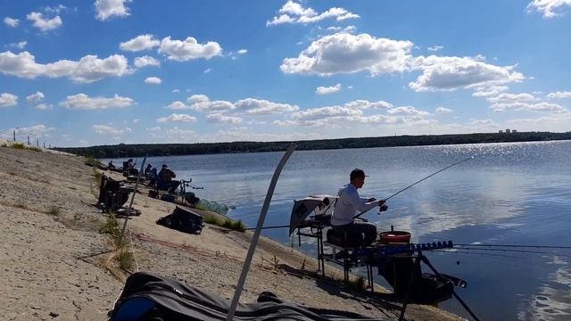 Чемпионат Челябинской области по ловле донной удочкой (фидер) 13-14 августа 2022 г. смотреть онлайн