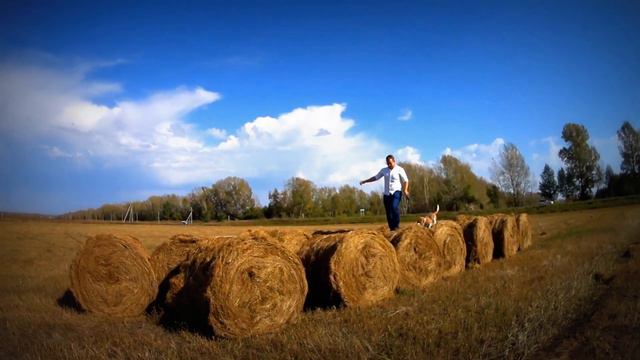 Love Story Барнаул. Осень. Любовь. Бигль. Алтай.(Sony action cam HDR-AS50R) смотреть онлайн