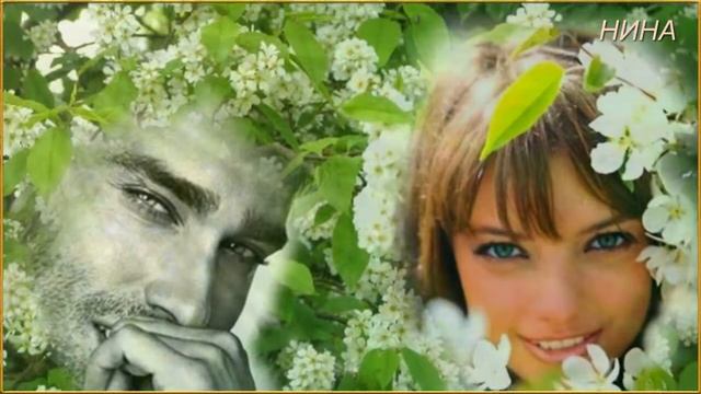 ст Елена Павленко, муз Ванда Мотор, аранжировка Вячеслава Гаврилко ПОД КАПЕЛЬЮ ДОЖДЯ смотреть онлайн