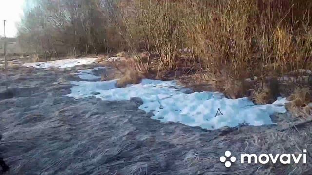 Супер Стелла Арктика и её дочь Злата Дама взяли селезня. смотреть онлайн