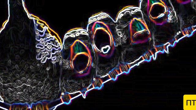 Анимационный мультфильм 3D: ПТИЧКИ смотреть онлайн