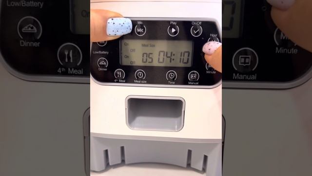 Быстрый обзор на автокормушку, инструкция по настройке в конце!