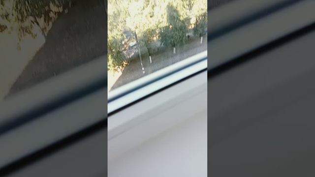 ну хз норм вид смотреть онлайн
