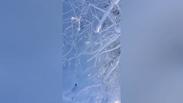 Хруст снега и в январе полно забот смотреть онлайн