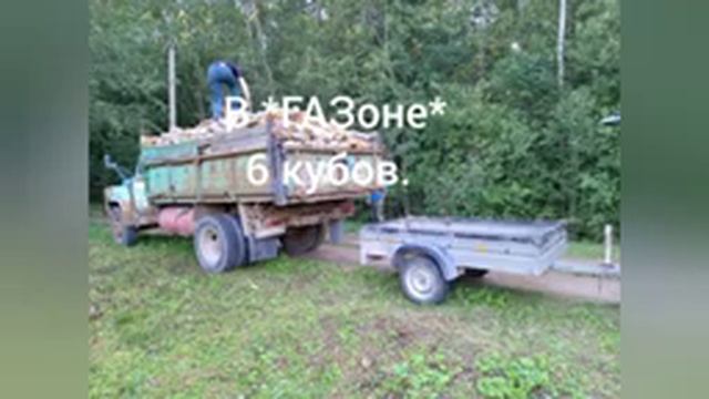 Брошенная на 30 лет дача.Участок зарос ольхой и осиной. Угрохал 2 китайских бензопилы. (10.000₽) смотреть онлайн