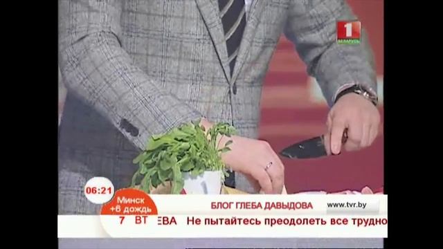 Праздничный завтрак от Глеба Давыдова смотреть онлайн