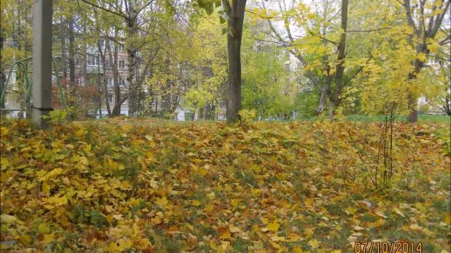 Стихотворение Тамары Анисимовой "Сентябрь. Листву роняют клёны..." смотреть онлайн