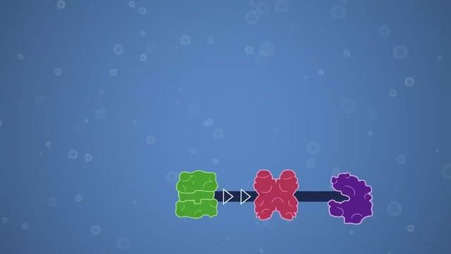 Enzymes, Feedback Inhibition, and Allosteric Regulation.mp4 смотреть онлайн