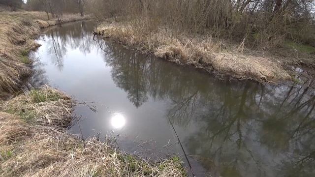 ВОТ ЭТО ПОКЛЕВКА! ВЫРЫВАЕТ СПИННИНГ ИЗ РУК ! ЛОВЛЯ ФОРЕЛИ НА СПИННИНГ! РЫБЛКА В БЕЛАРУСИ! смотреть онлайн
