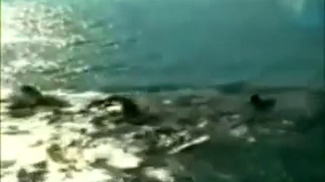 Морская Пехота. смотреть онлайн