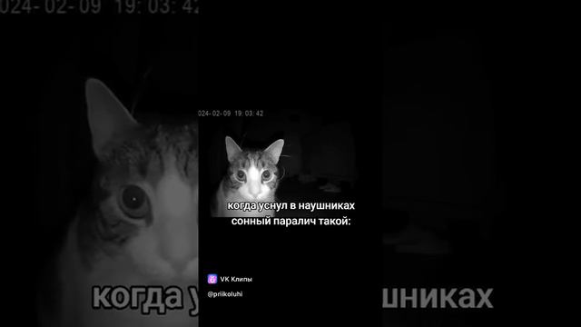 ShortsMEME смотреть онлайн