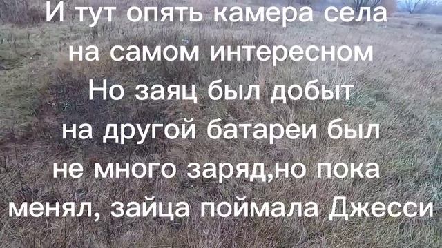Охота на зайца 2023-2024 с собакой Джесси! Открытие состоялось Делаю солонец для зайца ?? смотреть онлайн