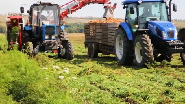 Играем в Большой Песочнице машинками для мальчиков. Челлендж настоящее против... смотреть онлайн