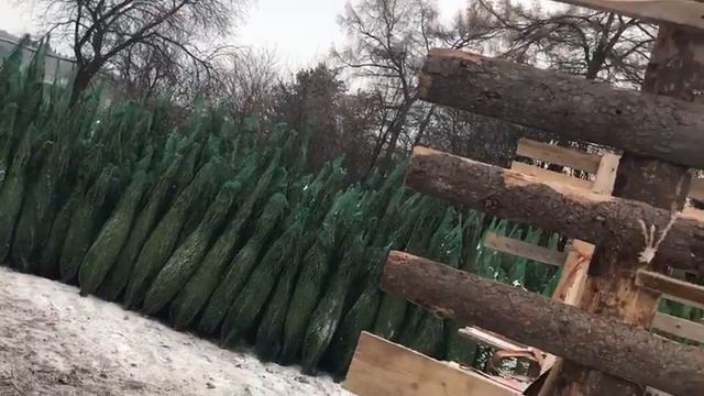 Новогодние елки смотреть онлайн