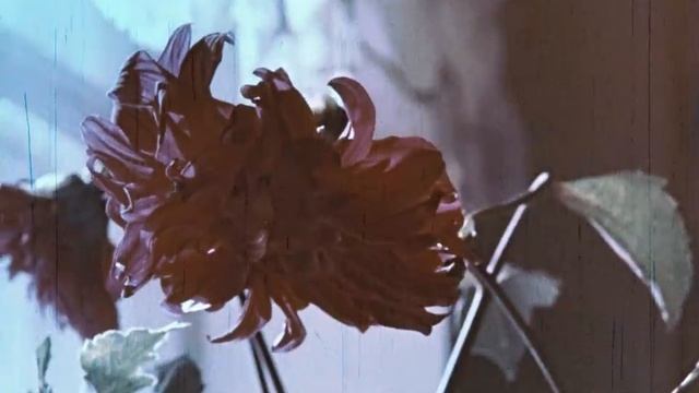 Цветет соцгород, 1963. смотреть онлайн