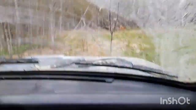 Катаемся с папой по лесу или для чего нужна нива смотреть онлайн