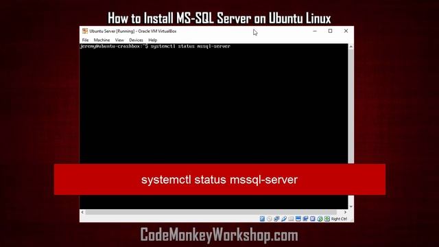 How to Install Microsoft SQL Server in Ubuntu Linux смотреть онлайн