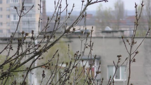panasonic 990 test смотреть онлайн