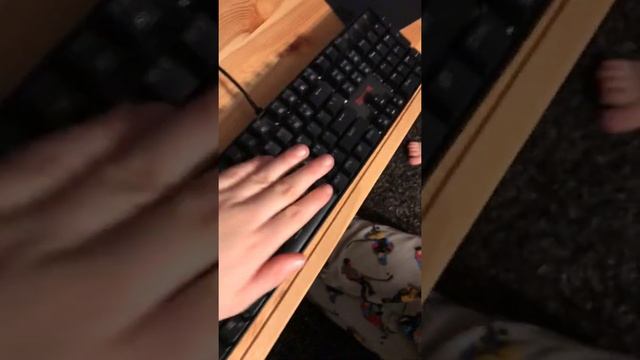 Dead memes and the main setup смотреть онлайн