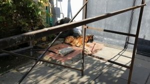 Строительные леса своими руками