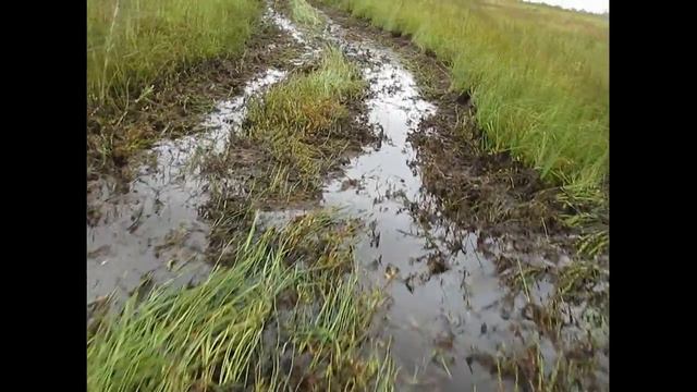 Вездеход Соломономобиль-94, поездка на Васюганское болото. Часть 3. смотреть онлайн