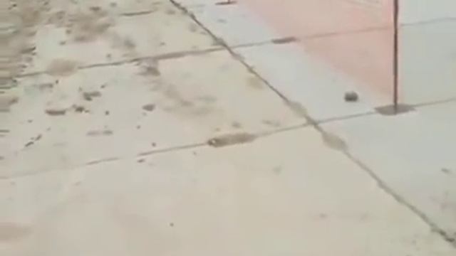 Тысячи китайцев идут на работу в г Большой Камень, Приморье руssких нет, работать не хотят 17 06 смотреть онлайн