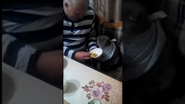 Котя ? кушает суп